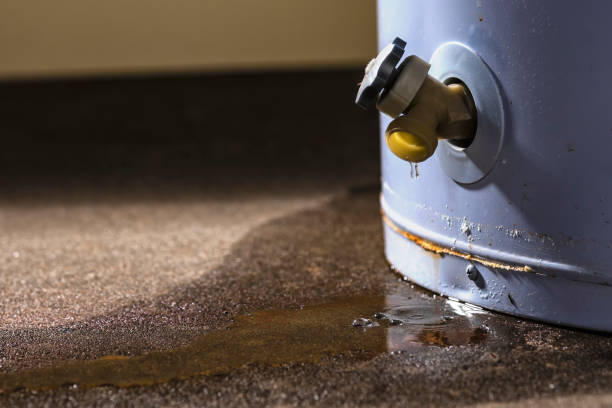 Best Water damage restoration process  in Seven Hills, OH