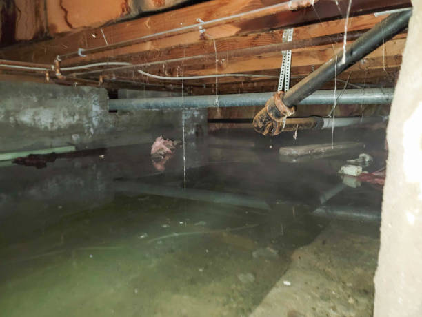 Best Water damage restoration near me  in Seven Hills, OH