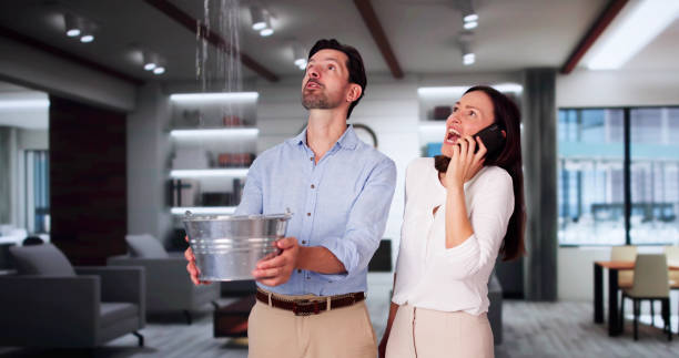 Best 24-hour water damage restoration  in Seven Hills, OH